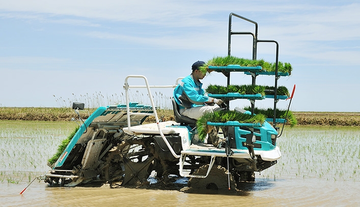 Kubota и NTT приступают к разработке самоуправляемых сельскохозяйственных машин Kubota и NTT разрабатывают самоуправляемую сельхозтехнику