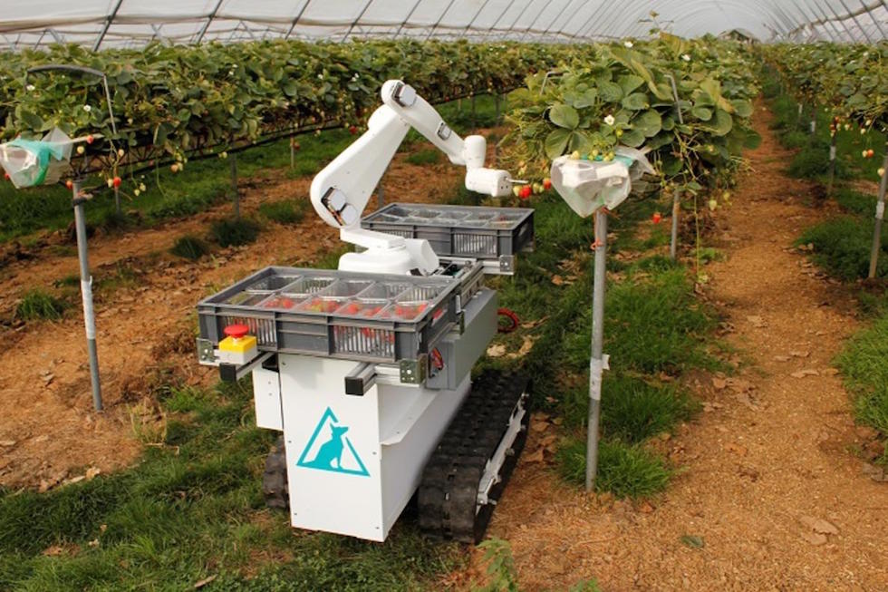 fruit_picking_robot.jpeg