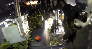 harvest-croo-strawberry-picking-robot-interior-view.png