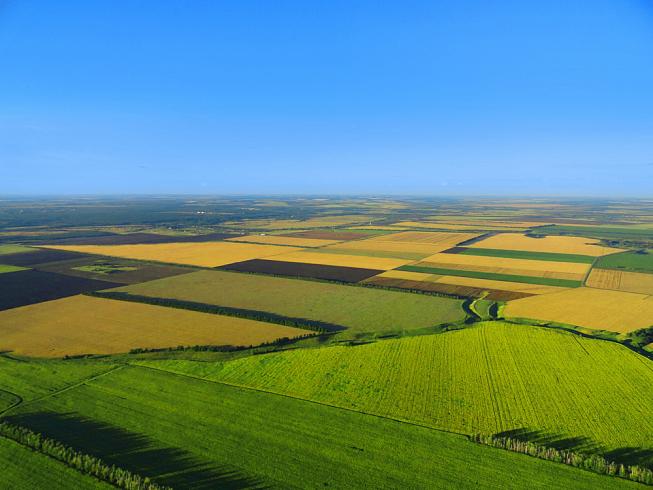 Hokkaido Corporation хочет в России создать умный аграрный мегаполис Hokkaido Corporation хочет в России создать умный аграрный мегаполис